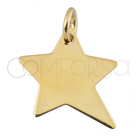 Colgante estrella irregular 13 mm plata chapada en oro