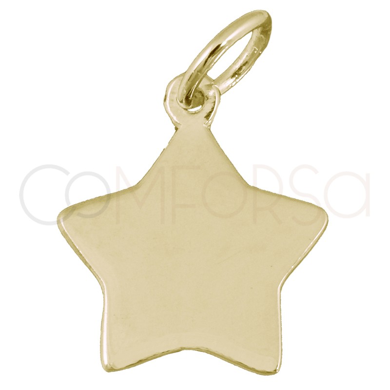 Sterling silver 925 gold-plated star pendant 12x14mm