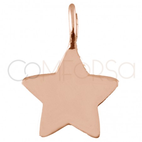 Gold-plated sterling silver 925 star pendant 8 x 6 mm