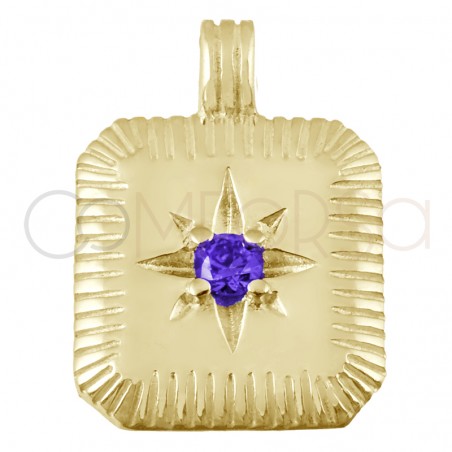Gold-plated sterling silver 925 Amethyst birthstone pendant (February) 11.5 x 12.5mm