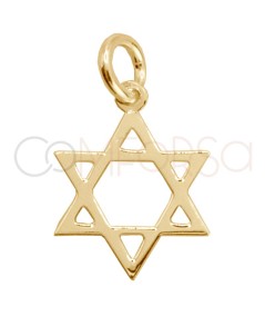 Gold-plated sterling silver 925 Star of David pendant 10mm