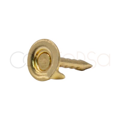 Gold plated brass stud back