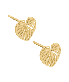 Gold-plated Sterling Silver 925 Cut-out Monstera Leaf Earrings 10 x 10 mm